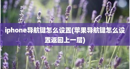 iphone导航键怎么设置(苹果导航键怎么设置返回上一层)