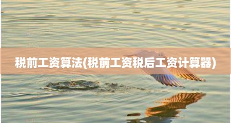 税前工资算法(税前工资税后工资计算器)