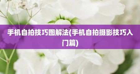手机自拍技巧图解法(手机自拍摄影技巧入门篇)