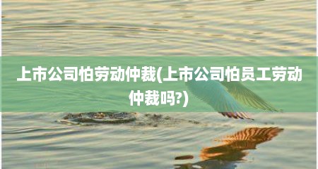上市公司怕劳动仲裁(上市公司怕员工劳动仲裁吗?)
