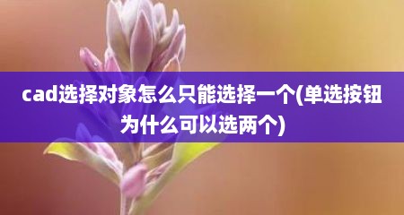 cad选择对象怎么只能选择一个(单选按钮为什么可以选两个)