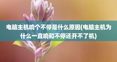 电脑主机响个不停是什么原因(电脑主机为什么一直响和不停还开不了机)