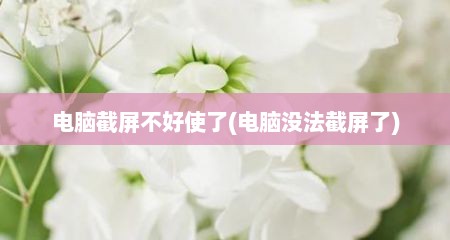 电脑截屏不好使了(电脑没法截屏了)