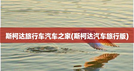 斯柯达旅行车汽车之家(斯柯达汽车旅行版)