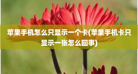 苹果手机怎么只显示一个卡(苹果手机卡只显示一张怎么回事)