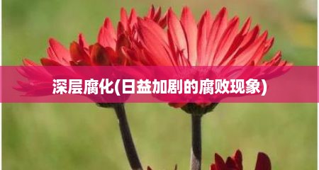 深层腐化(日益加剧的**现象)