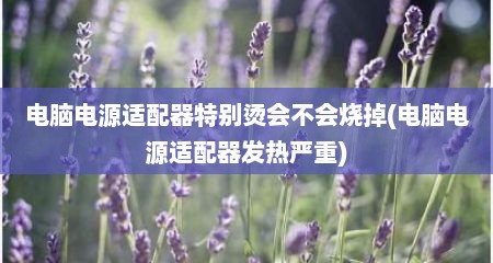 电脑电源适配器特别烫会不会烧掉(电脑电源适配器发热严重)