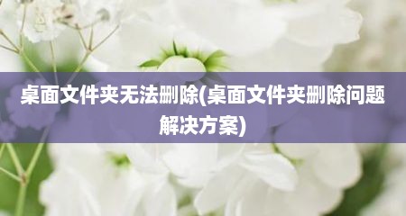 桌面文件夹无法删除(桌面文件夹删除问题解决方案)