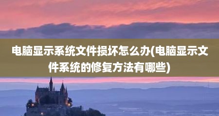 电脑显示系统文件损坏怎么办(电脑显示文件系统的修复方法有哪些)