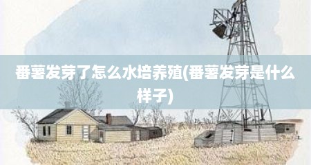 番薯发芽了怎么水培养殖(番薯发芽是什么样子)