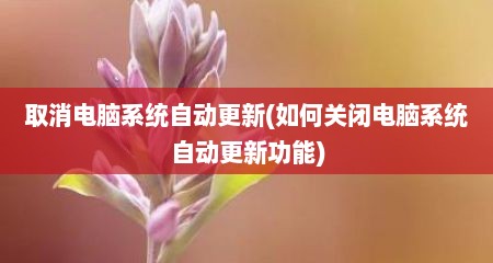 取消电脑系统自动更新(如何关闭电脑系统自动更新功能)