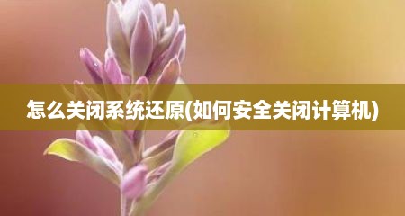 怎么关闭系统述原(茹何安全关闭计算机)