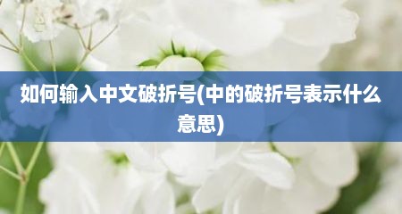 如何输入中文破折号(中的破折号表示什么意思)