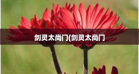 剑灵太尚门(剑灵太尚门