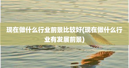 现在做什么行业前景比较好(现在做什么行业有发展前景)