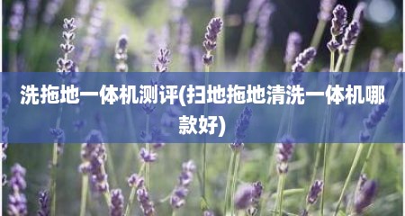 洗拖地一体机测评(扫地拖地清洗一体机哪款好)