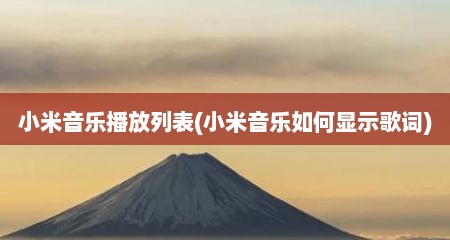 小米音乐播放列表(小米音乐如何显示歌词)