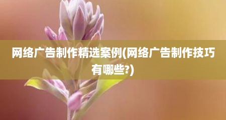 网络广告制作精选案例(网络广告制作技巧有哪些?)