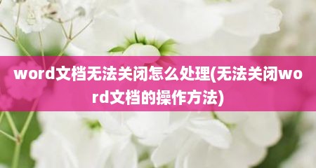 word文档无法关闭怎么处理(无法关闭word文档的操作方法)