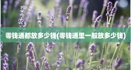 零钱通都放多少钱(零钱通里一般放多少钱)