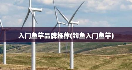 入门鱼竿品牌推荐(钓鱼入门鱼竿)