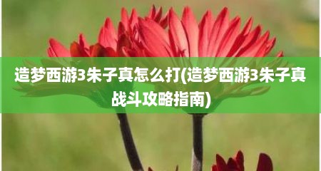 造梦西游3朱子真怎么打(造梦西游3朱子真战斗攻略指南)