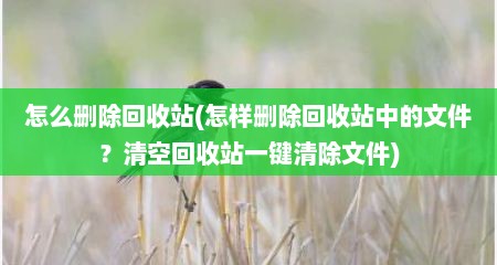 怎么删除回收站(怎样删除回收站中的文件？清空回收站一键清除文件)