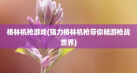 格林机枪游戏(强力格林机枪带你畅游枪战世界)