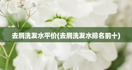 去屑洗发水平价(去屑洗发水排名前十)
