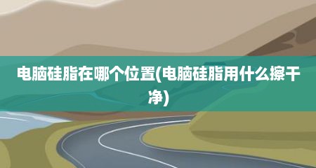 电脑硅脂在哪个位置(电脑硅脂用什么擦干净)
