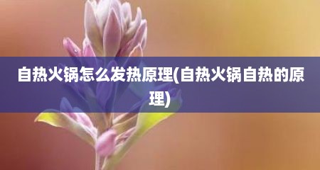 自热火锅怎么发热原理(自热火锅自热的原理)