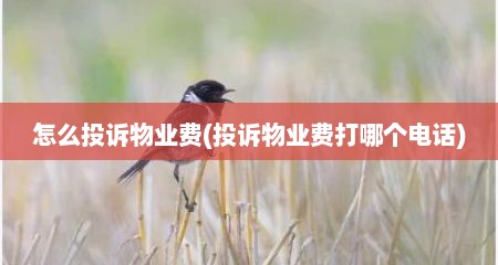 怎么投诉物业费(投诉物业费打哪个电话)
