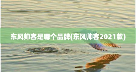 东风帅客是哪个品牌(东风帅客2021款)