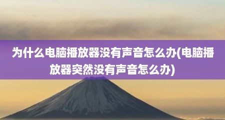 为什么电脑播放器没有声音怎么办(电脑播放器突然没有声音怎么办)