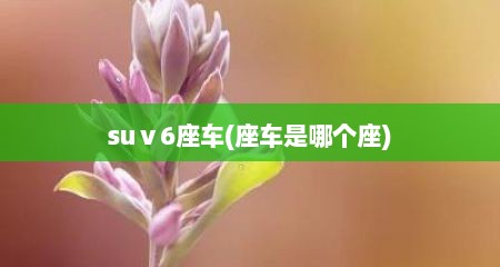 suⅴ6座车(座车是哪个座)