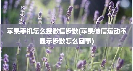 苹果手机怎么摇微信步数(苹果微信运动不显示步数怎么回事)