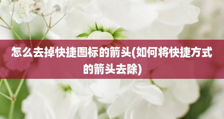 怎么去掉快捷图标的箭头(如何将快捷方式的箭头去除)