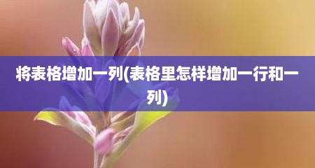 将表格增加一列(表格里怎样增加一行和一列)
