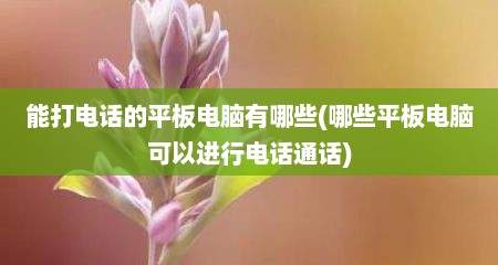 能打电话的平板电脑有哪些(哪些平板电脑可以进行电话通话)