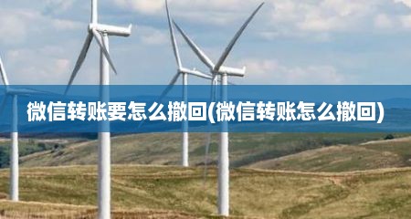微信转账要怎么撤回(微信转账怎么撤回)