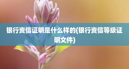 银行资信证明是什么样的(银行资信等级证明文件)