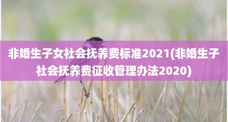 非婚生子女社会抚养费标准2021(非婚生子社会抚养费征收管理办法2020)