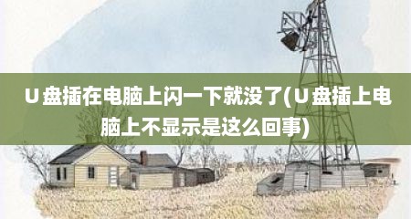 ∪盘插在电脑上闪一下就没了(∪盘插上电脑上不显示是这么回事)