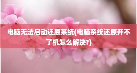 电脑无法启动还原系统(电脑系统还原开不了机怎么解决?)