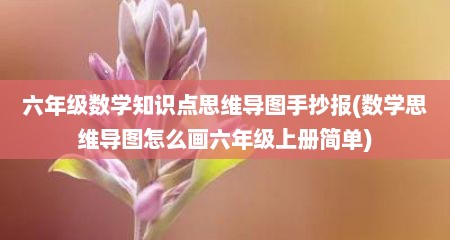 六年级数学知识点思维导图手抄报(数学思维导图怎么画六年级上册简单)