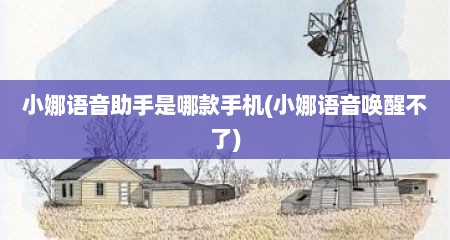 小娜语音助手是哪款手机(小娜语音唤醒不了)