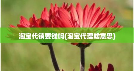 淘宝代销要钱吗(淘宝代理啥意思)