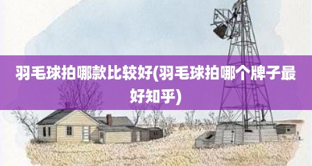 羽毛球拍哪款比较好(羽毛球拍哪个牌子最好知乎)