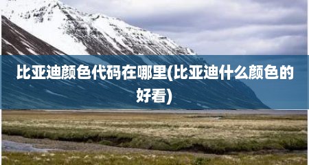 比亚迪颜色代码在哪里(比亚迪什么颜色的好看)