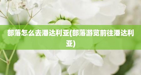 部落怎么去潘达利亚(部落游览前往潘达利亚)